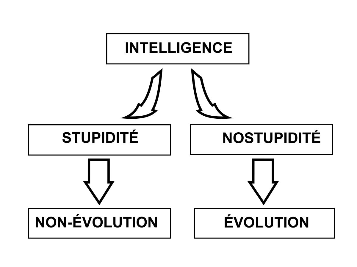 nostupidite-evolution-non-evolution-copyright2016joanluzzara-site-fr.jpg